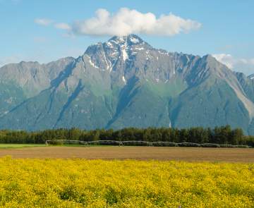 Pioneer Peak
