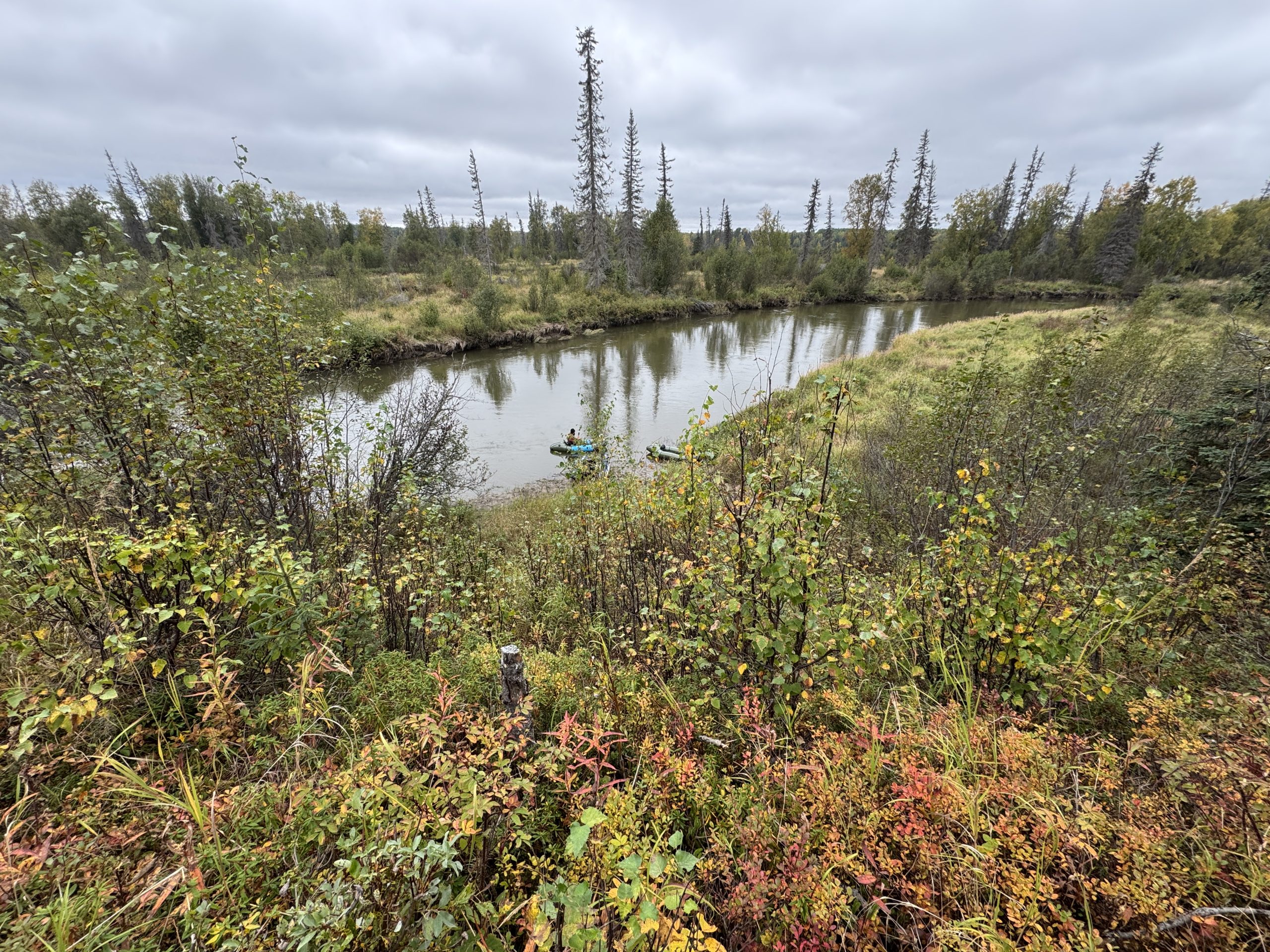 A small boat floats on a calm river surrounded by trees and brush in Mat-Su, Alaska