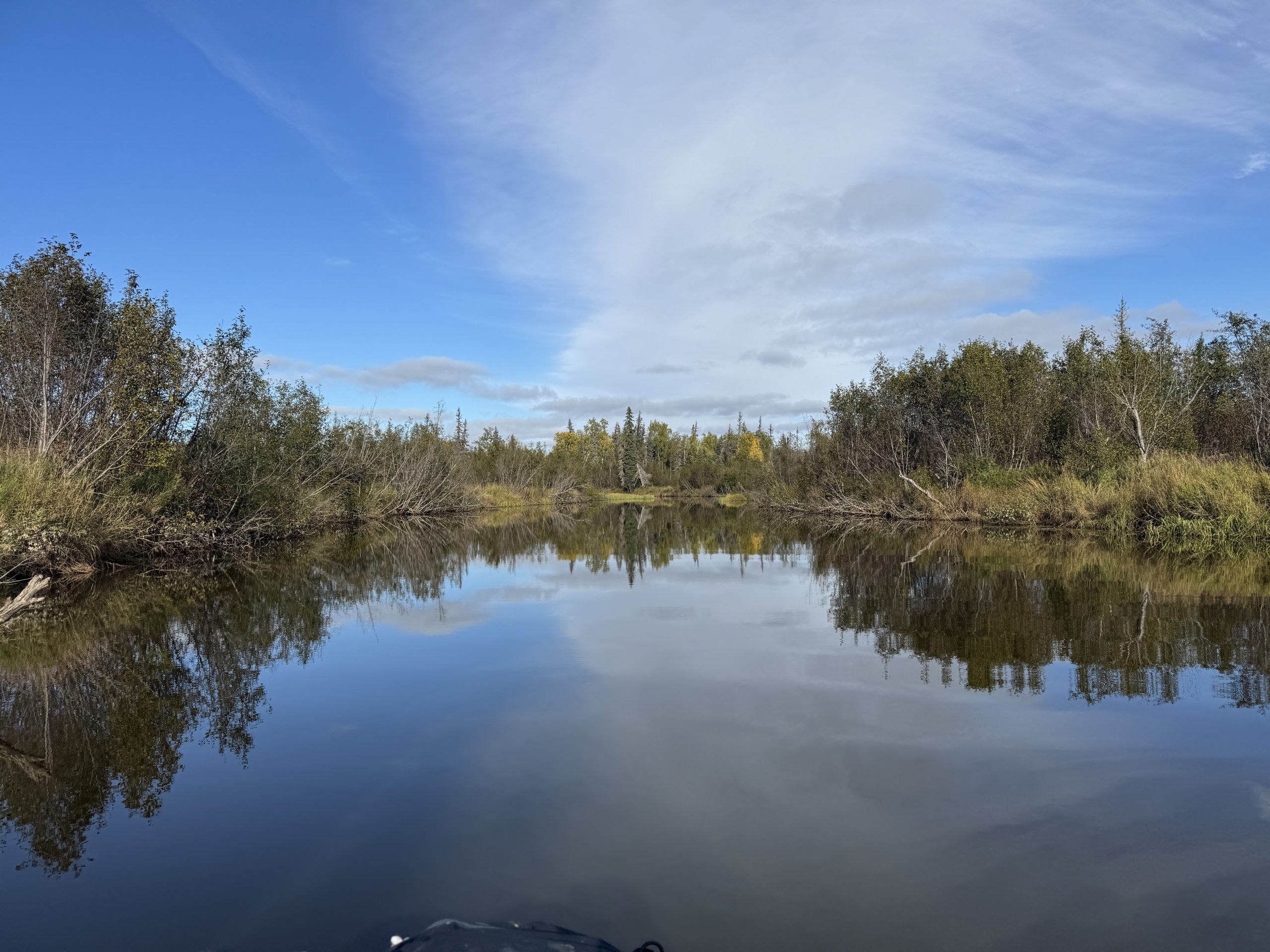 A calm river reflects the blue sky and surrounding trees on a sunny day in Mat-Su, Alaska