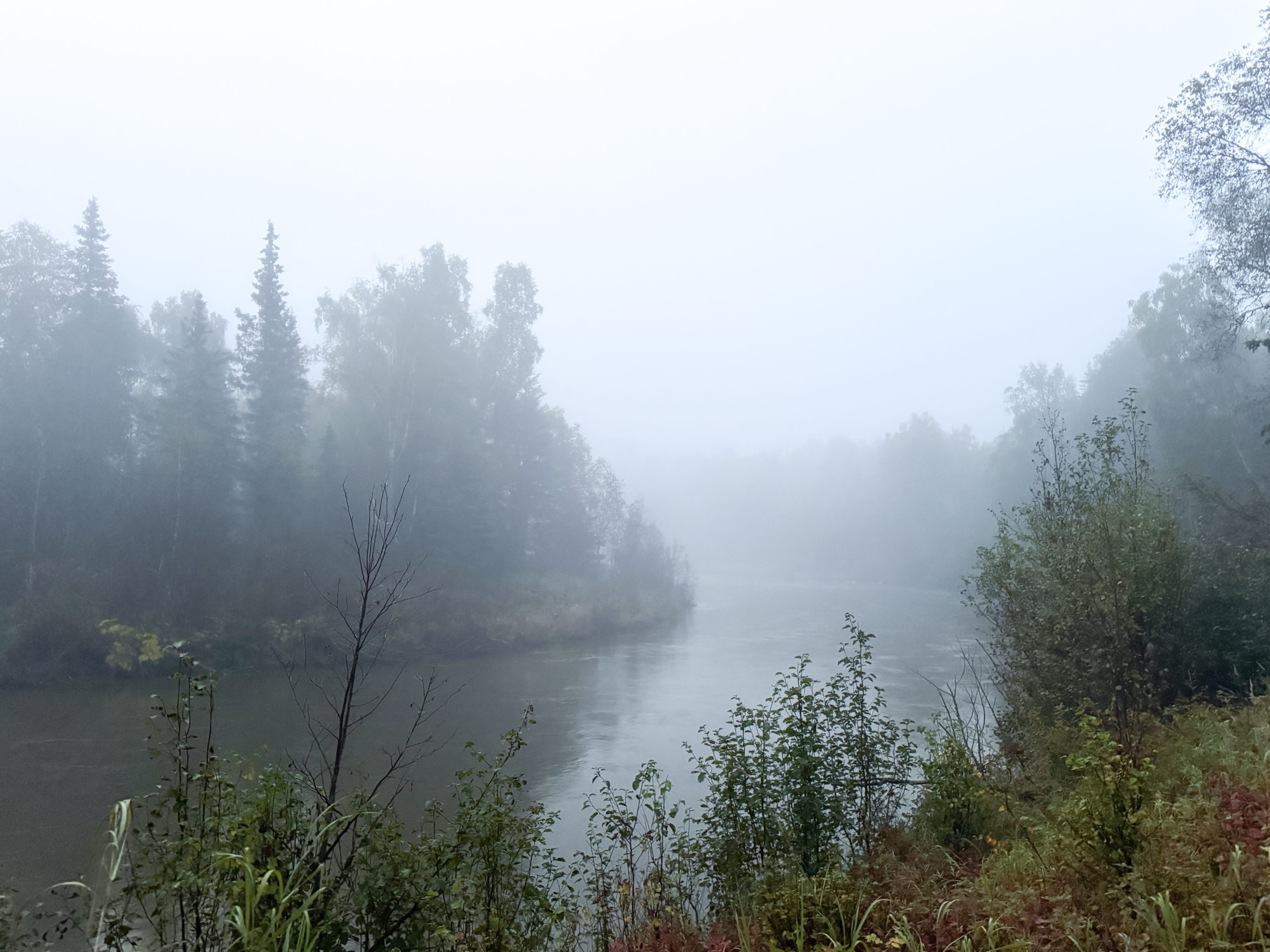 A calm river flows through a dense forest shrouded in thick morning fog in Mat-Su, Alaska