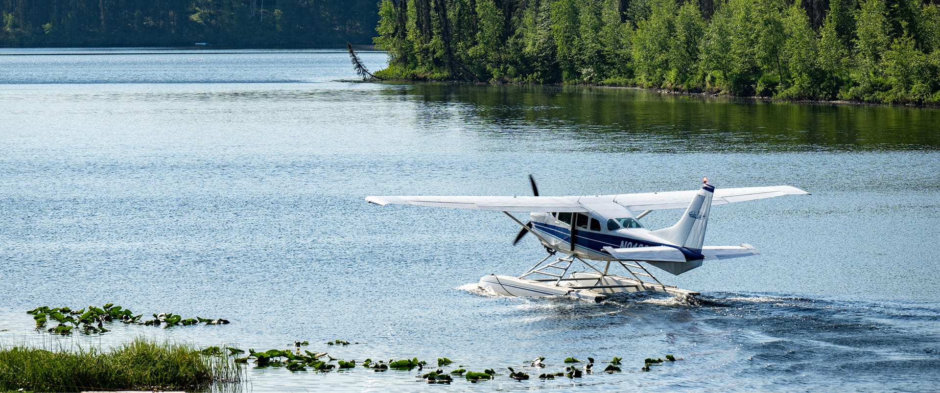 A small seaplane takes off from a serene lake surrounded by lush green trees in Mat-Su, Alaska