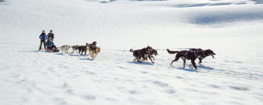 A team of sled dogs pulling a sled across a snowy landscape with a musher guiding them in Mat-Su, Alaska