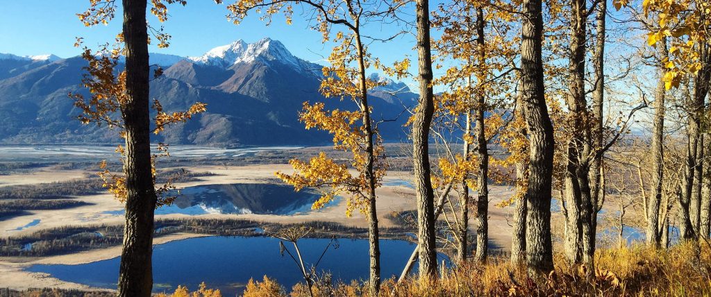 A serene autumn landscape featuring a calm lake surrounded by golden trees, with majestic mountains in the distance under a clear blue sky in Mat-Su, Alaska