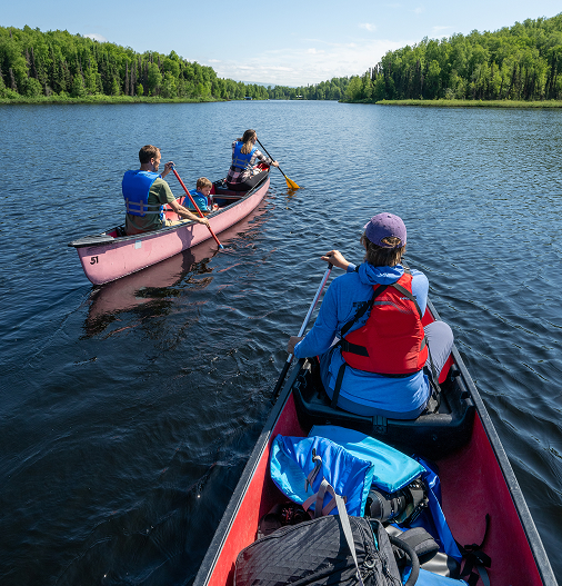 Three canoes glide across a serene lake, surrounded by lush green forests in Mat-Su, Alaska