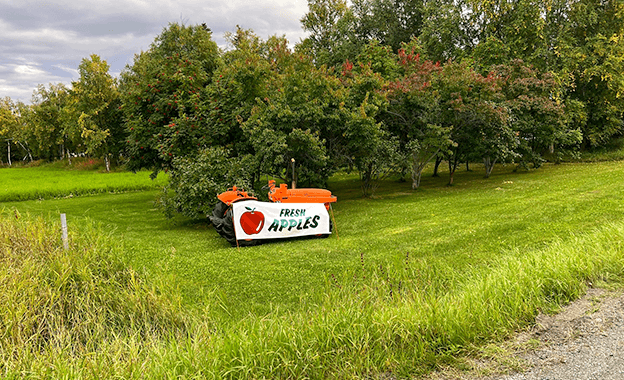 A vibrant field of green grass with a sign advertising 'Fresh Apples' surrounded by lush trees in Mat-Su, Alaska