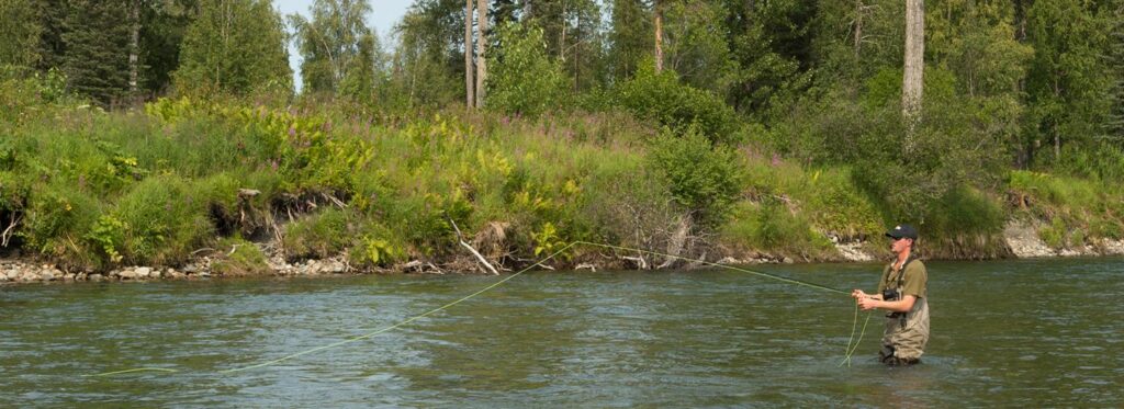 A person is fly fishing in a serene river surrounded by lush greenery and tall trees in Mat-Su, Alaska