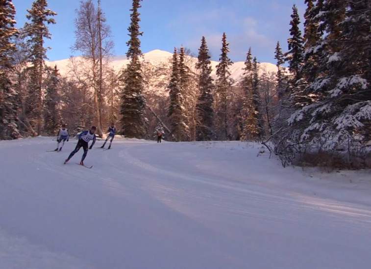 Cross-country skiers glide through a snow-covered forest with tall trees and distant mountains in Mat-Su, Alaska