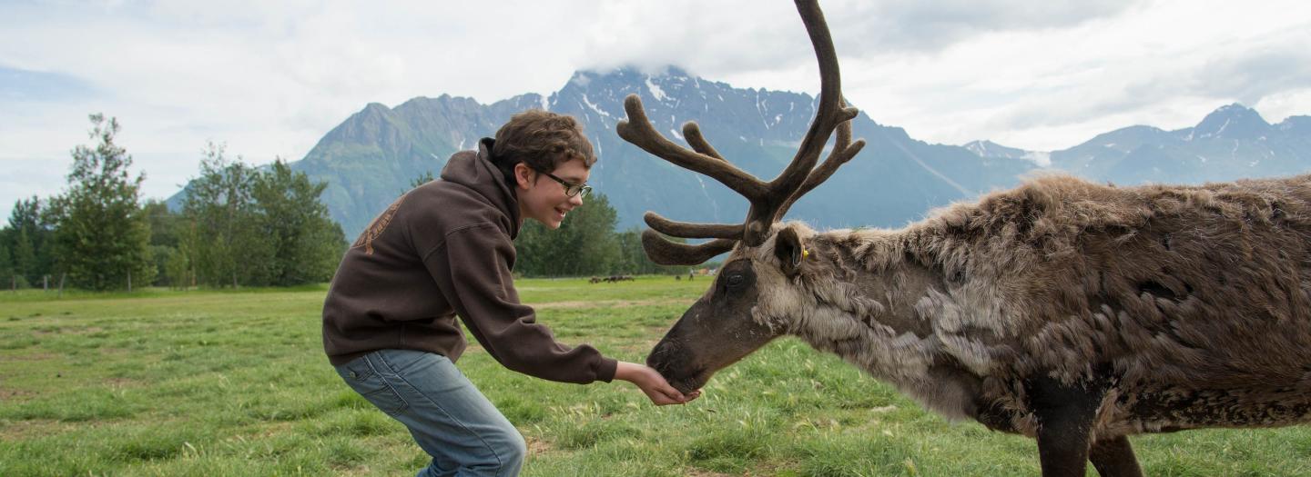 A person is feeding a reindeer in a grassy field with mountains in the background in Mat-Su, Alaska