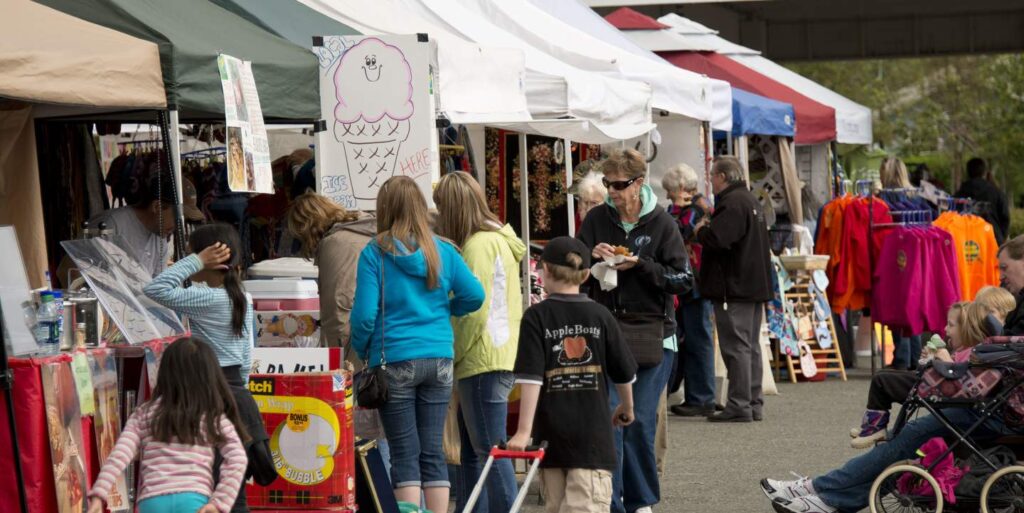 A bustling outdoor market with colorful tents, vendors selling various items, and people browsing and shopping in Mat-Su, Alaska