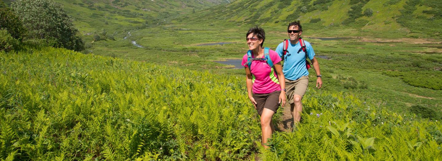 Two hikers in colorful shirts traverse a lush green hillside in Mat-Su, Alaska
