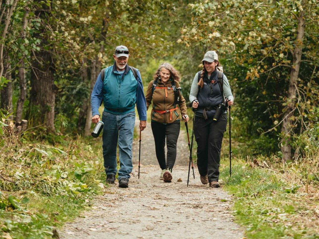 Three hikers, equipped with backpacks and walking sticks, enjoy a leisurely stroll along a wooded trail in Mat-Su, Alaska