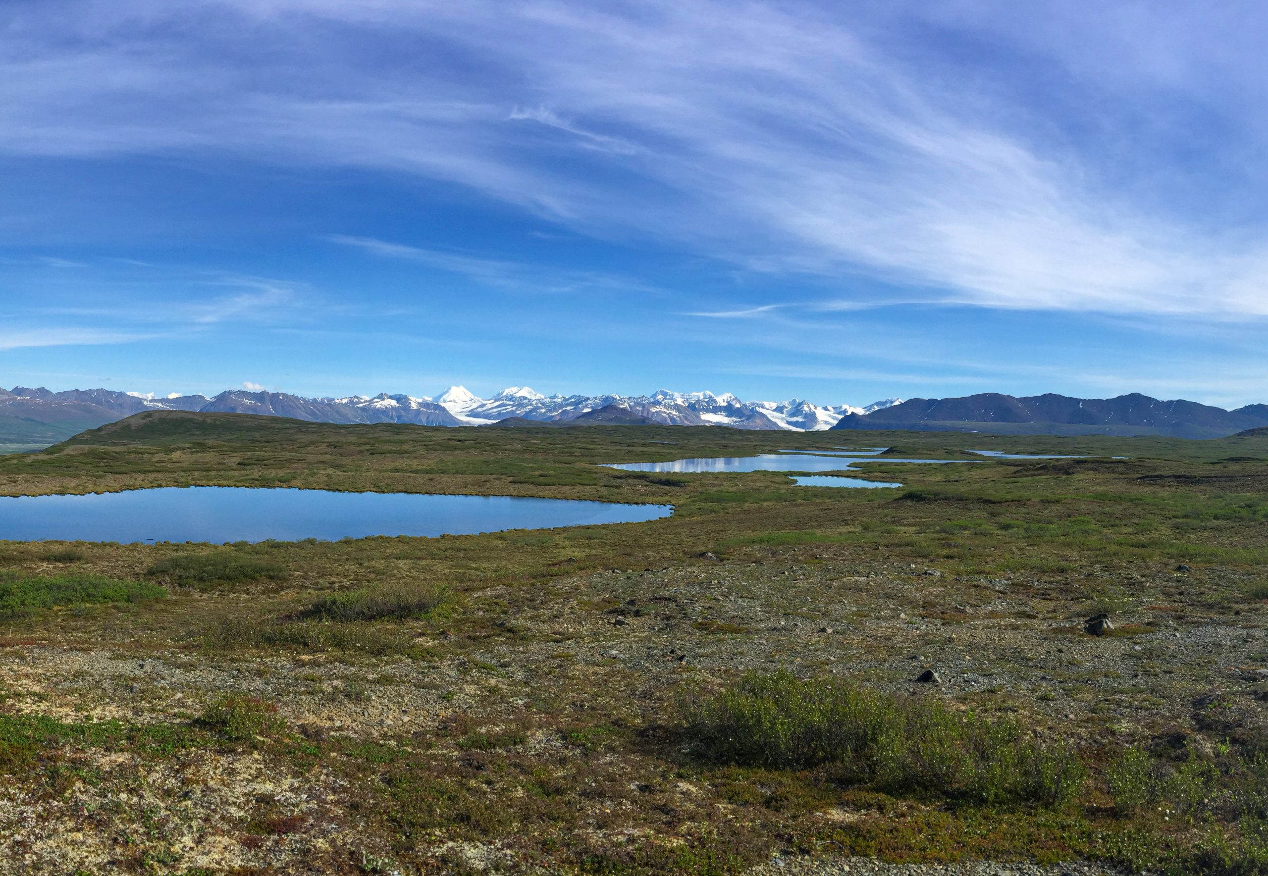 A serene landscape featuring a vast expanse of tundra with scattered ponds, framed by distant snow-capped mountains under a clear blue sky in Mat-Su, Alaska