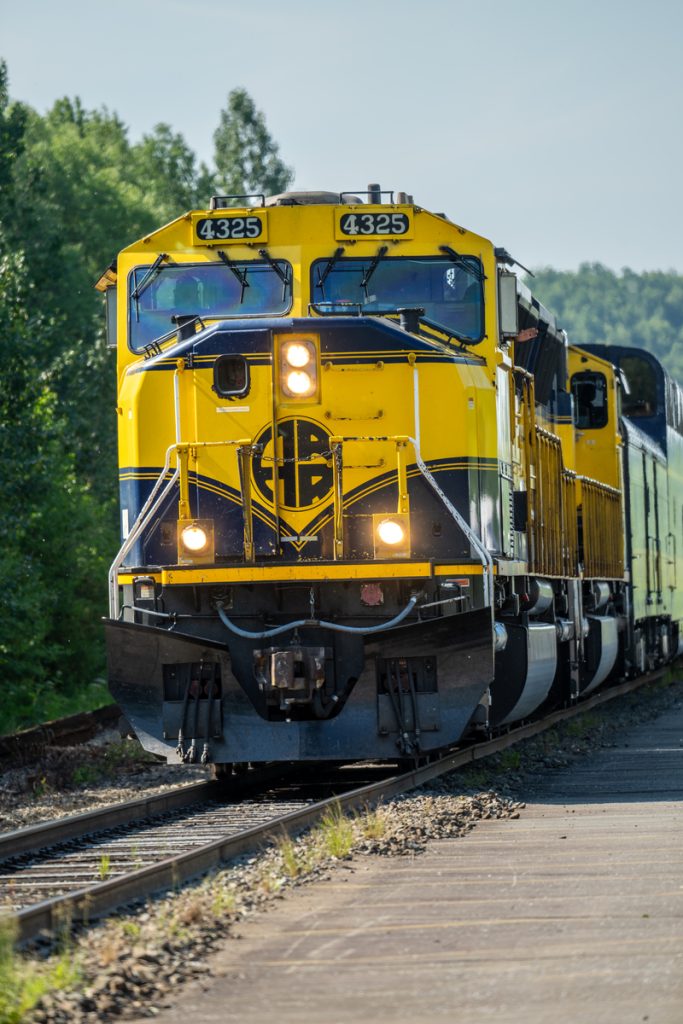 A bright yellow and black locomotive with the number 4325 on its front travels along a railway track surrounded by lush green trees in Mat-Su, Alaska