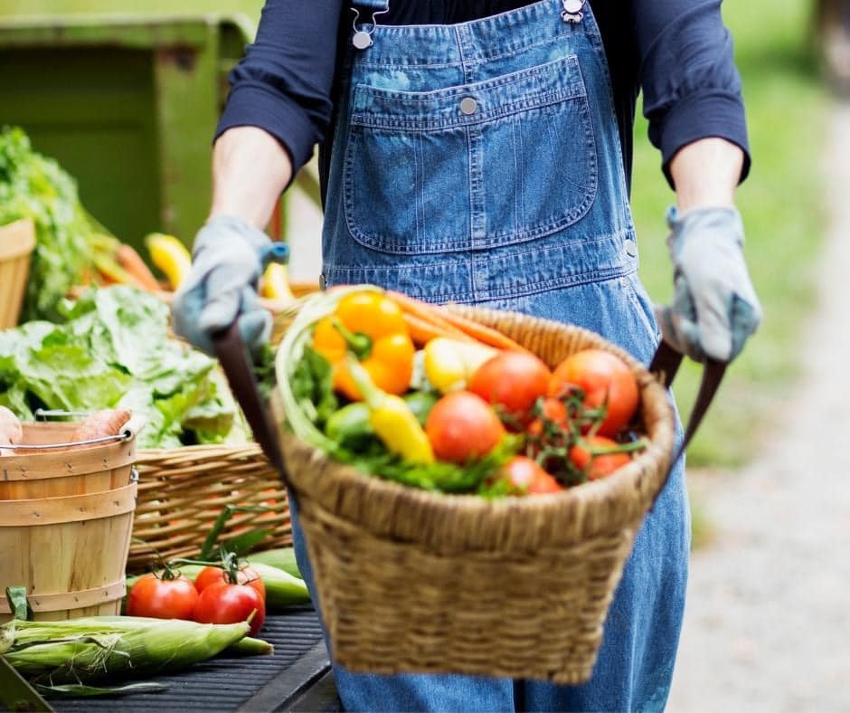 A person in denim overalls and gloves carries a large basket filled with a variety of fresh vegetables, including tomatoes, peppers, and leafy greens, at a farmer's market in Mat-Su, Alaska