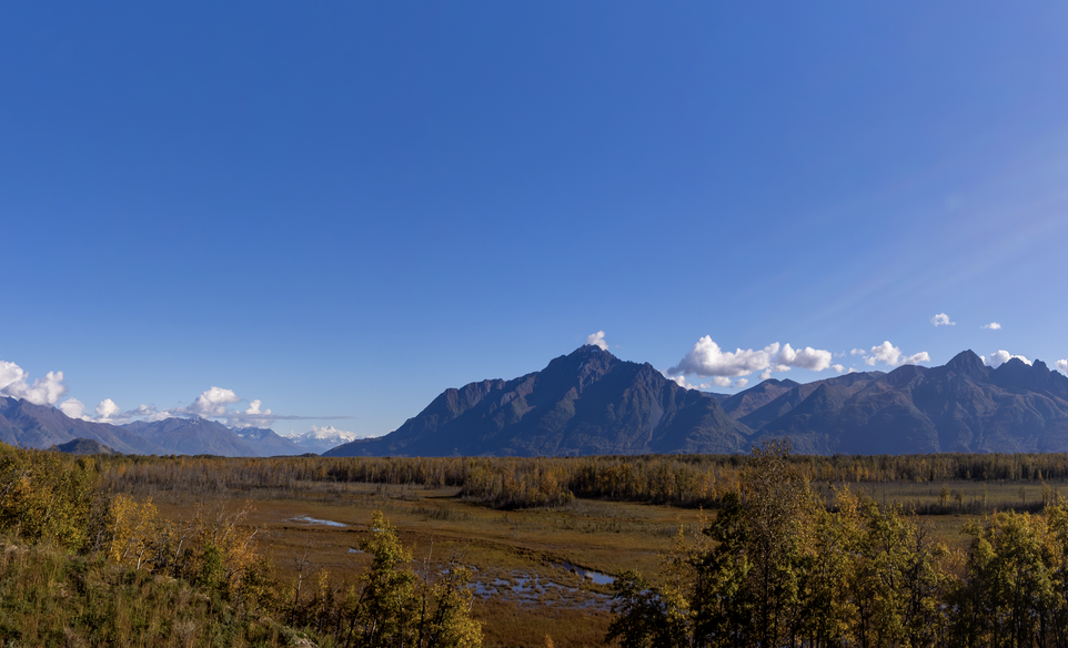 A vast landscape featuring a marshy plain with scattered trees, leading up to majestic mountains under a clear blue sky in Mat-Su, Alaska