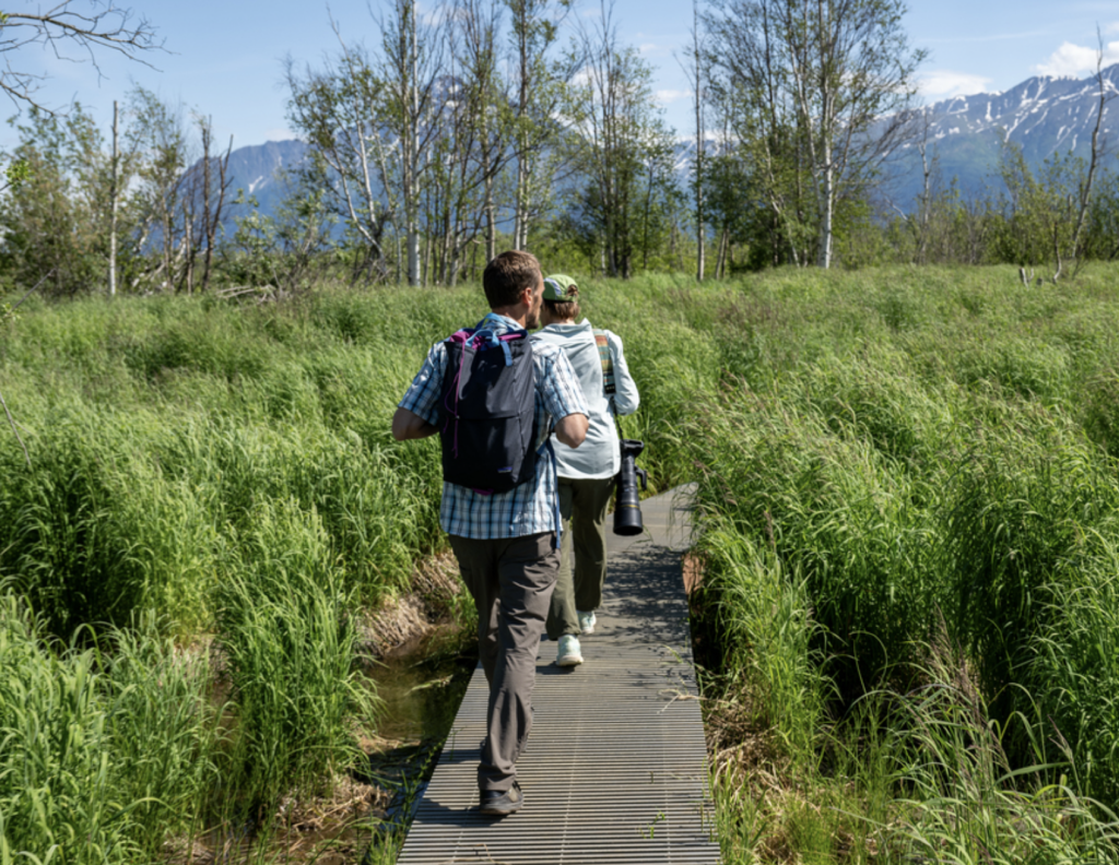 Two hikers walk along a wooden boardwalk through a lush green meadow, with a mountain range visible in the distance in Mat-Su, Alaska