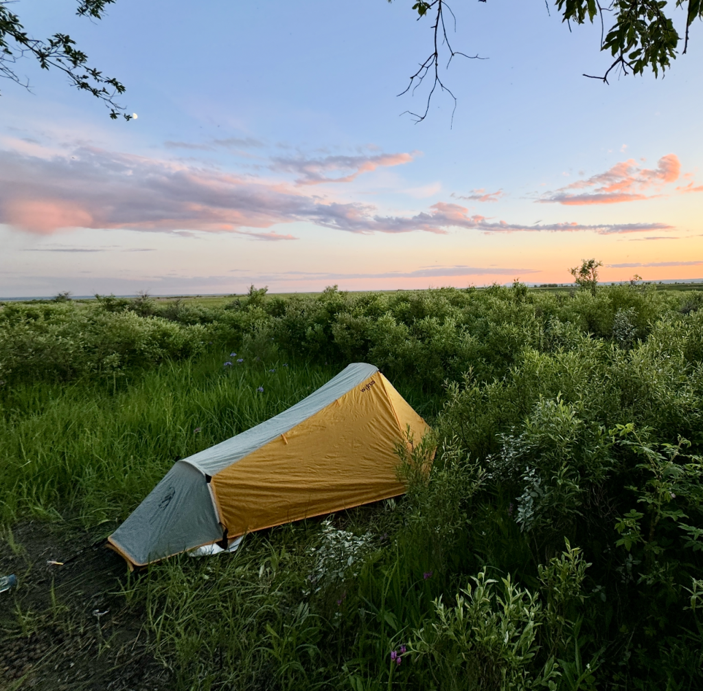 A lone tent pitched in a grassy field at sunset, surrounded by wildflowers and tall green plants in Mat-Su, Alaska