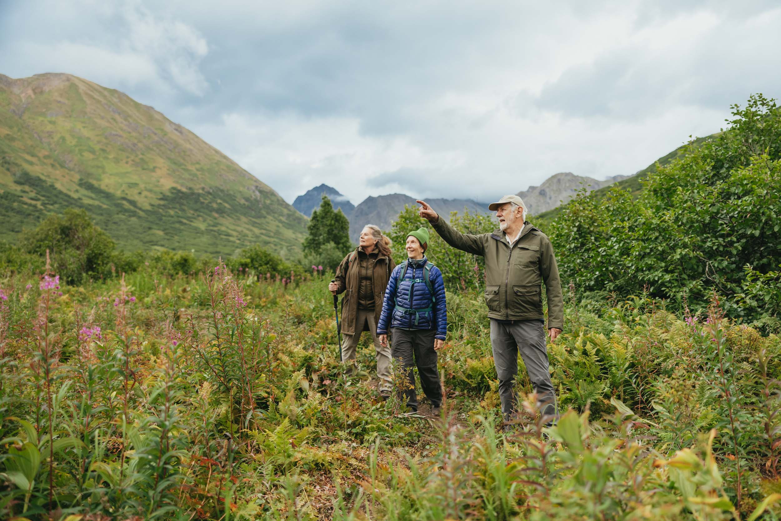 Three people hiking in a mountain meadow with one person pointing at the scenery in Mat-Su, Alaska