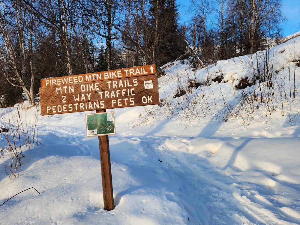 A wooden trail sign in a snowy forest landscape in Mat-Su, Alaska