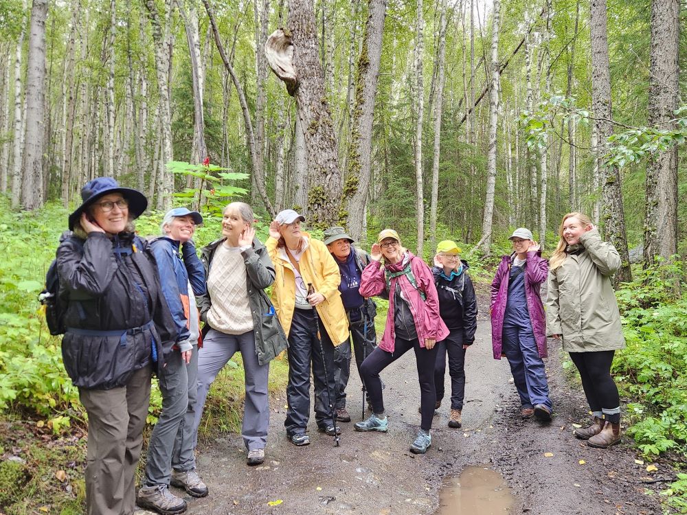 A group of hikers standing on a forest trail with their hands to their ears in Mat-Su, Alaska